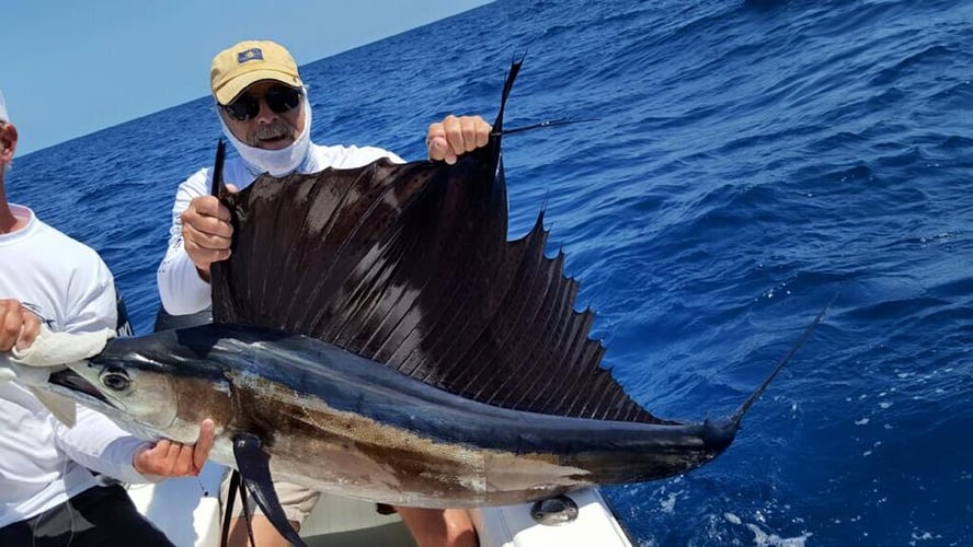 Key West Big Game Fishing in Key West