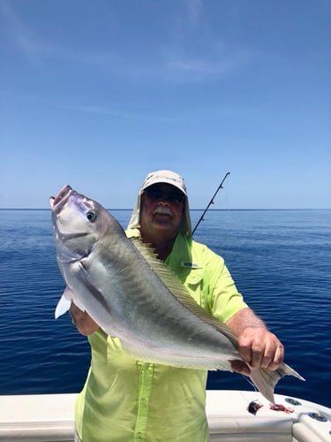 Key West Big Game Fishing in Key West