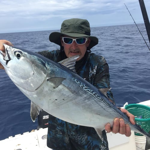 4 Hour Nearshore Fishing Trip In Key West