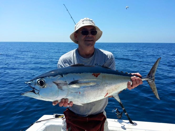 Key West Big Game Fishing in Key West