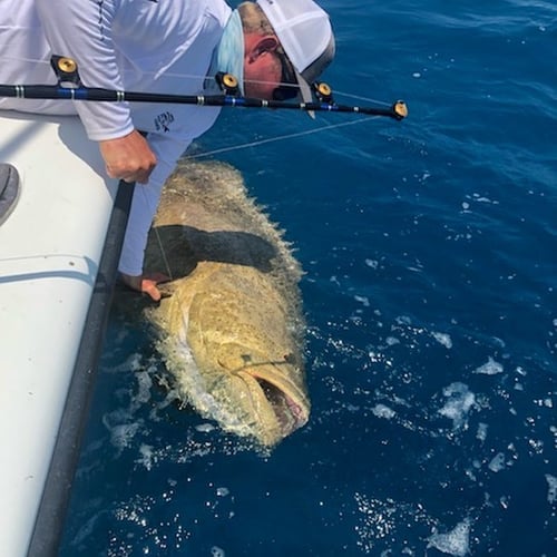 Key West Exotic Reef Fishing In Key West