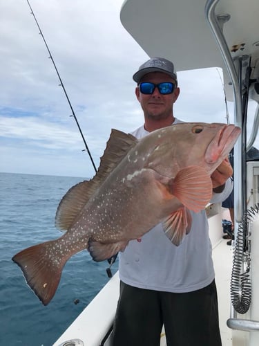 Key West Exotic Reef Fishing In Key West