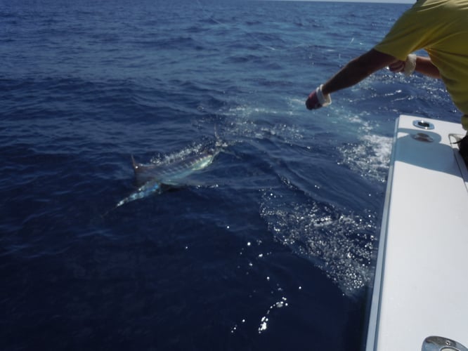 Dawn to Dusk Key West Fishing Trip in Key West