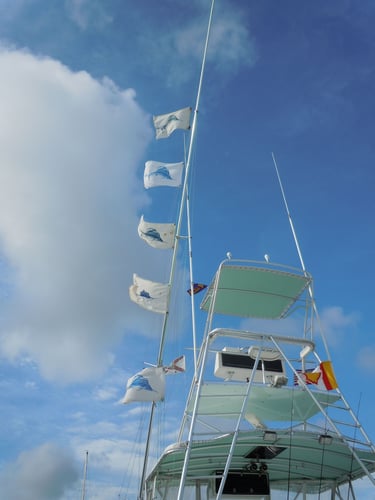Dawn to Dusk Key West Fishing Trip in Key West