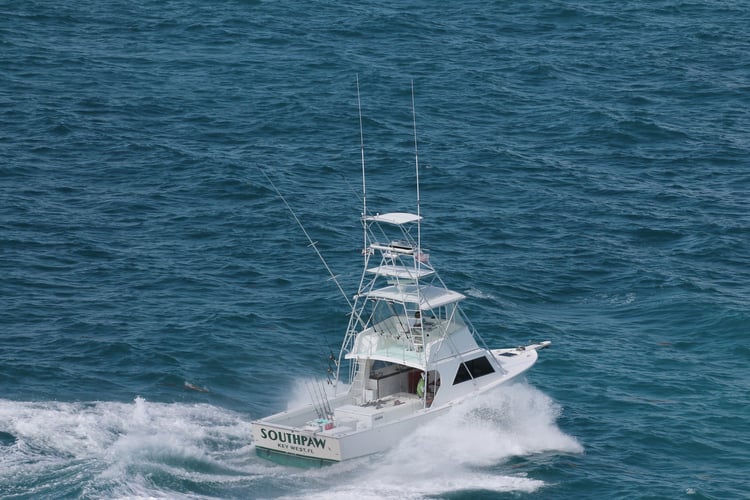 Dawn to Dusk Key West Fishing Trip in Key West