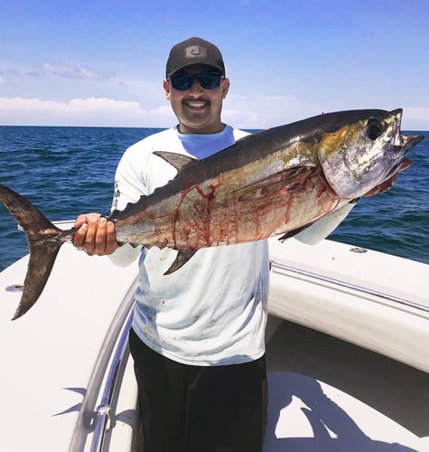 Dry Tortugas Smash In Key West