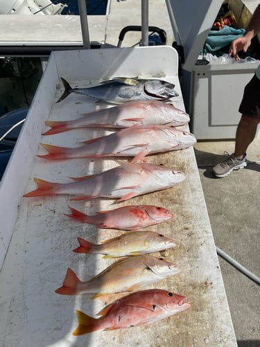 Key West Offshore Action in Key West