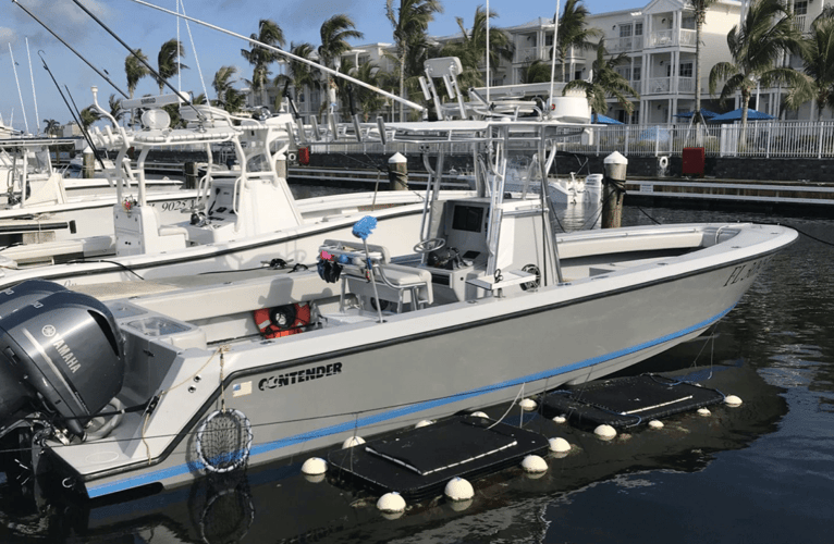 Key West Offshore Action in Key West