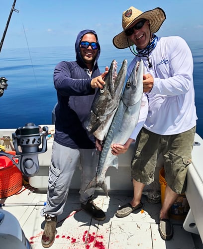 Dry Tortugas Smash In Key West