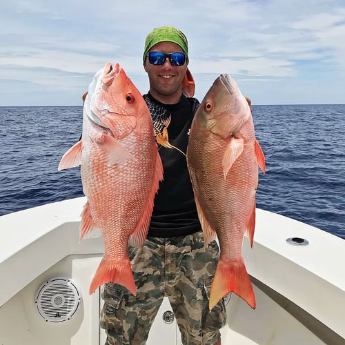 Dry Tortugas Smash In Key West