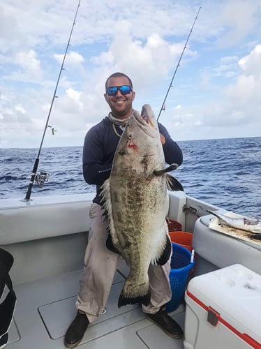 Dry Tortugas Smash In Key West