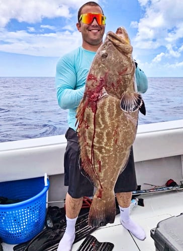 Dry Tortugas Smash In Key West