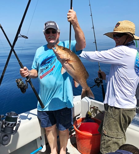 Dry Tortugas Smash In Key West