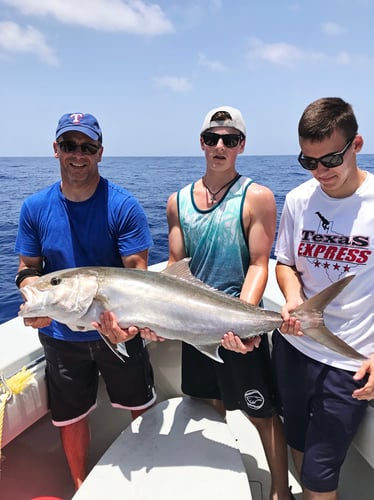 Dry Tortugas Smash In Key West