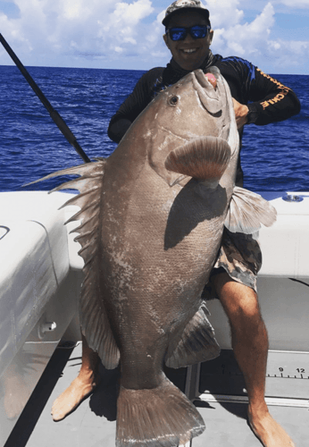 Dry Tortugas Smash In Key West