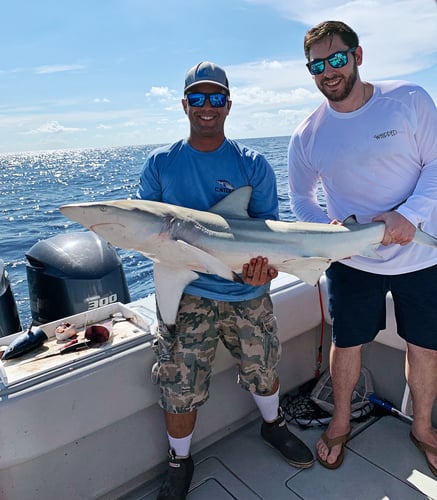 Key West Offshore Action In Key West