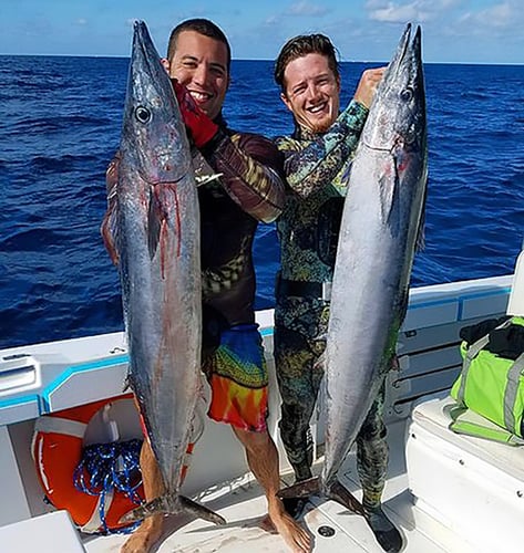 Dry Tortugas Smash In Key West