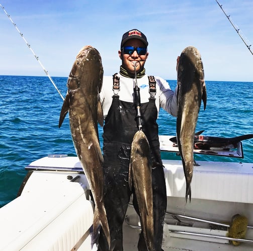 Dry Tortugas Smash In Key West