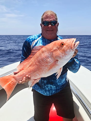 Key West Offshore Action In Key West