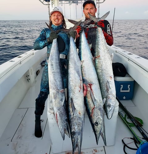 Southernmost Mahi Offshore Fishing In Key West