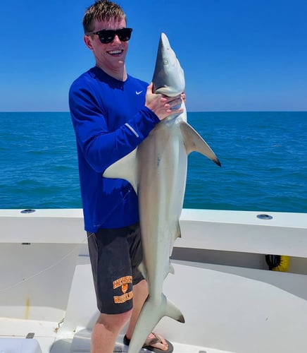 Key West Shark Trips - 29' Sea Vee