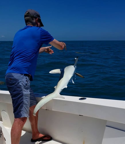 Key West Shark Trips - 29’ Sea Vee In Key West