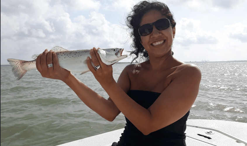 Coastal Bend Honey Holes in Corpus Christi
