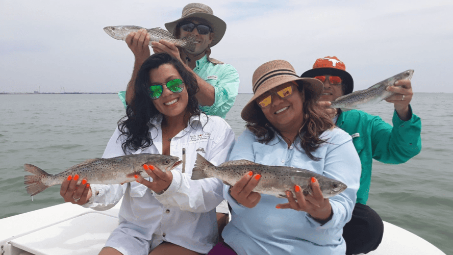 Coastal Bend Honey Holes In Corpus Christi