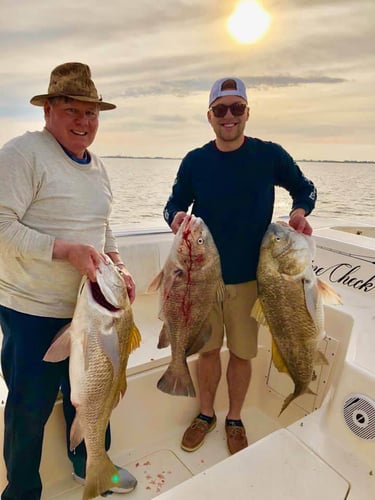 Bay And Jetty Fishing In Galveston