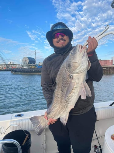 Bay And Jetty Fishing In Galveston