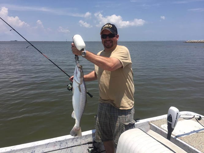 Galveston Trout and Redfish Roundup