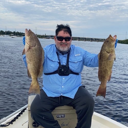 Gag Grouper Special In Tampa