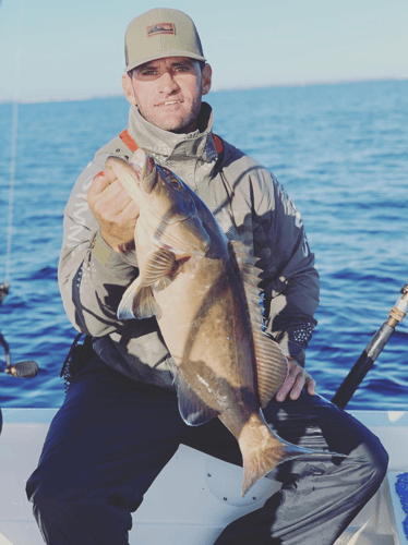 Gag Grouper Special In Tampa