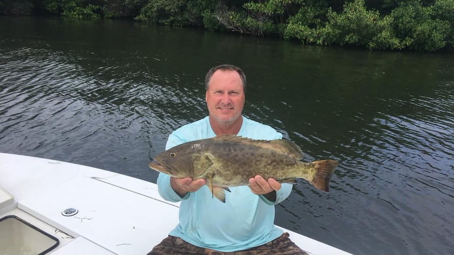 Gag Grouper Special In Tampa