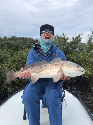 Half Day Trip – Fly Fishing In Tampa