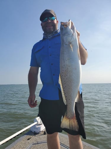 Sunrise Saltwater Safari In Galveston