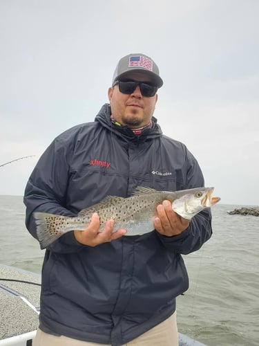 Galveston Catch And Release Only In Galveston