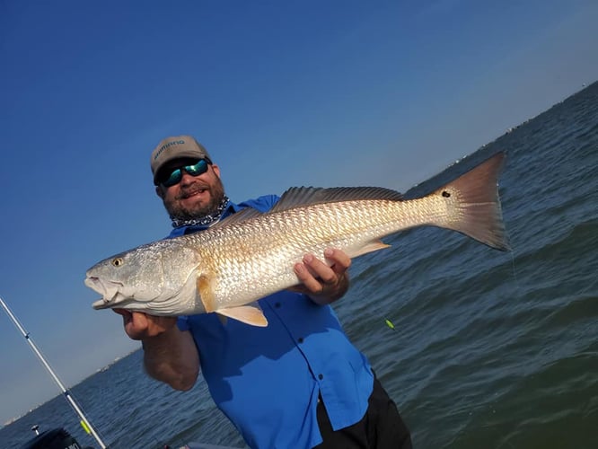 Galveston Catch And Release Only In Galveston