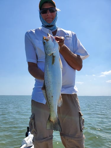 "Trout Man Mike" Adventures In Galveston