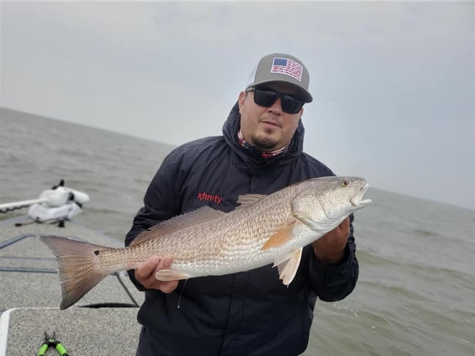 Galveston Catch And Release Only In Galveston