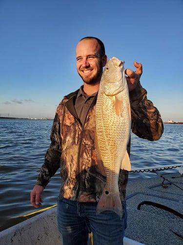 Galveston Catch And Release Only In Galveston