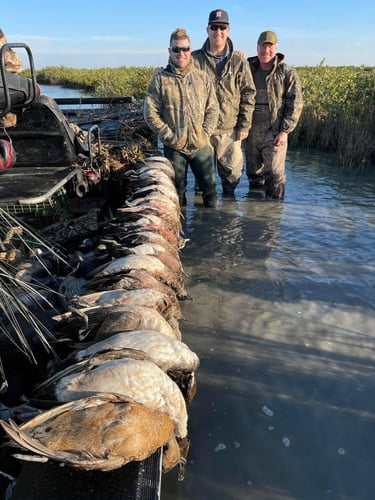 Gulf Coast Duck Hunt In Port O'Connor