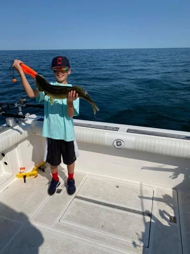 Lake Erie Walleye Roundup In Lorain