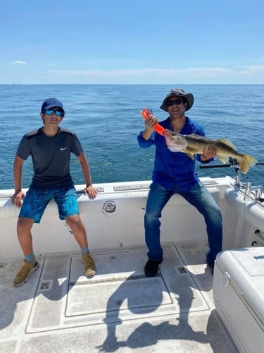 Lake Erie Walleye Roundup In Lorain