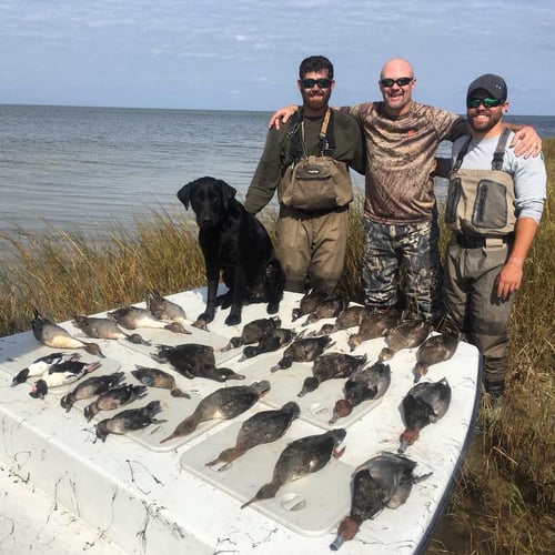 Matagorda Bay Duck Hunt In Wharton