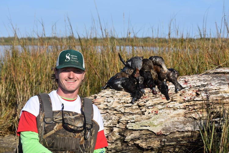 Matagorda Bay Duck Hunt In Wharton