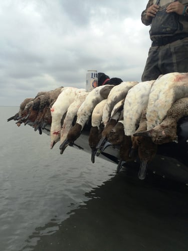 Gulf Coast Duck Hunt In Port O'Connor