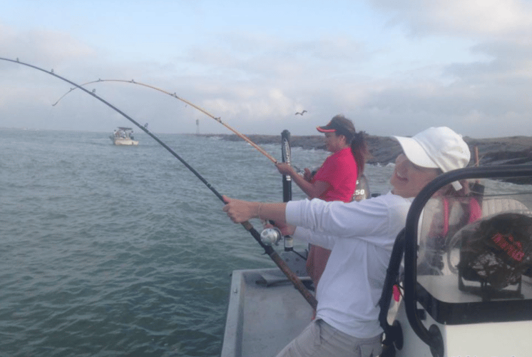 Matagorda Bay & Beyond in Port O'Connor