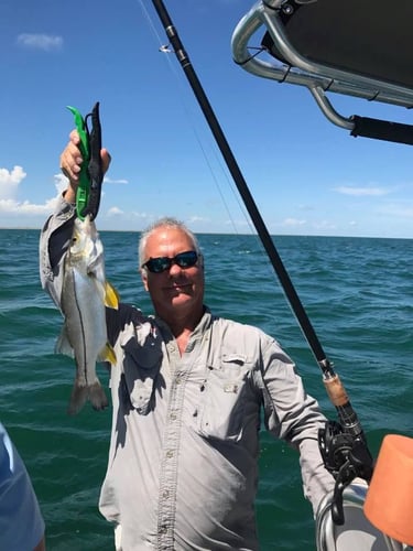 Matagorda Bay & Beyond in Port O'Connor