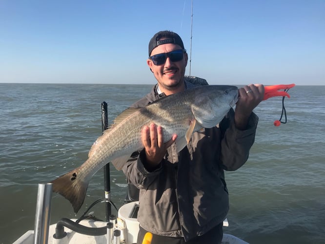 Matagorda Bay & Beyond In Port O'Connor